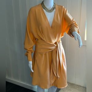 TIBI Silk Dress